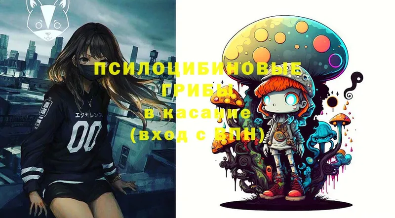 Псилоцибиновые грибы Psilocybe  Солигалич 