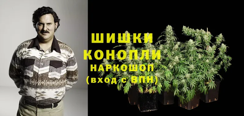 Каннабис OG Kush  как найти   Солигалич 